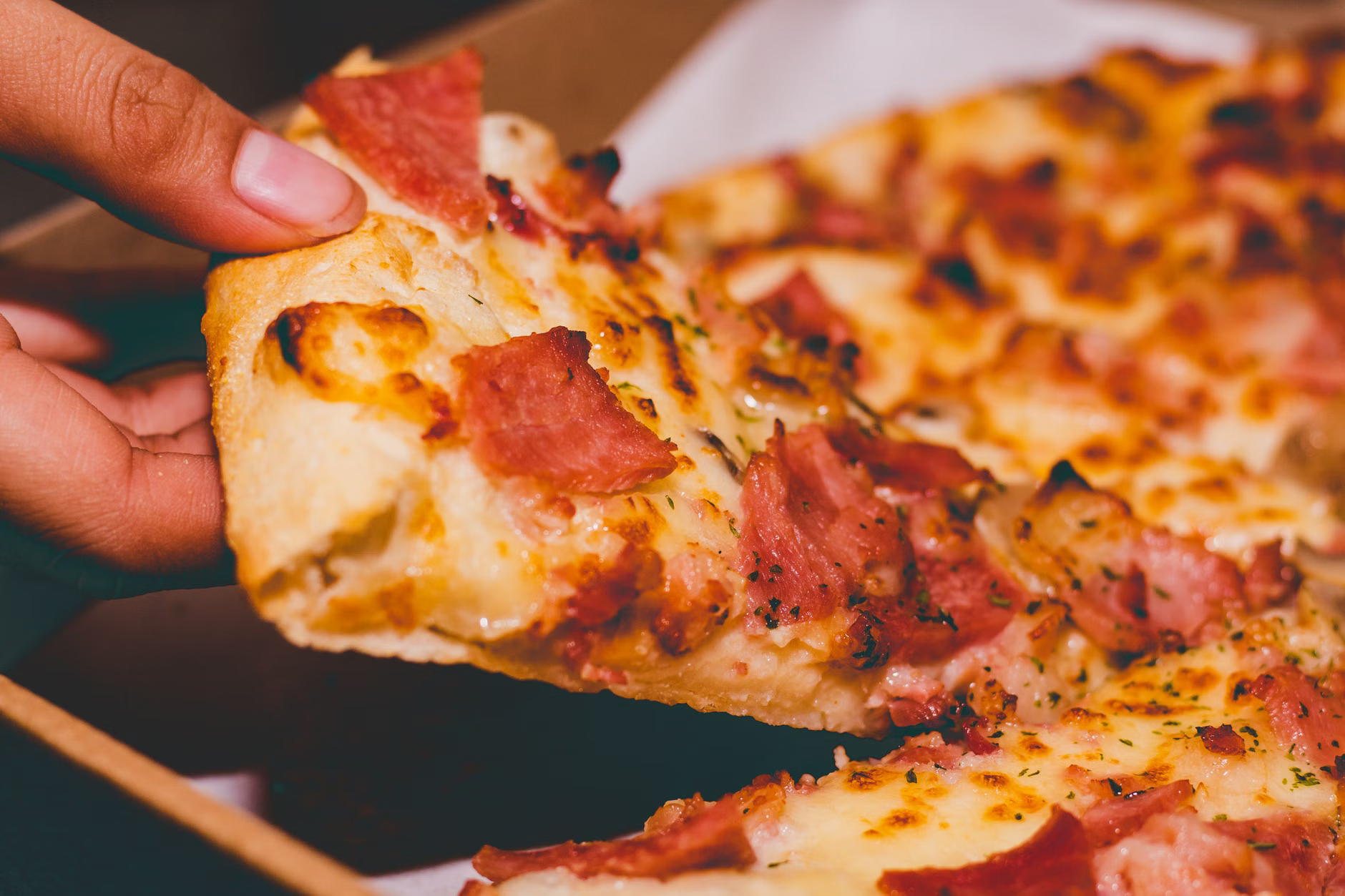 pizza slice close up